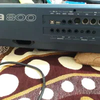 pa800|پیانو، کیبورد، آکاردئون|اردبیل, |دیوار