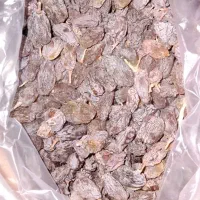 کشمش|خوردنی و آشامیدنی|صدرا-فارس, فاز ۱|دیوار