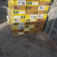 زیتون|خوردنی و آشامیدنی|شیراز, شاپورجان|دیوار