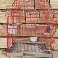 تشکر از عوامل دیوار