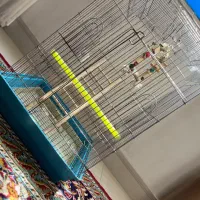 قفس بزرگ مناسب طوطی و کاسکو