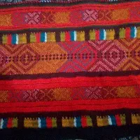 زی استین تارکش