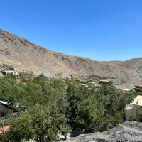 استخادم سرایدار باغ
