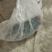 ریموت گم کردم