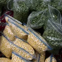 ذرت مکزیکی اصل مکزیک بلال