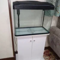 آکواریوم شرکتی دلساباپایه درحدنو