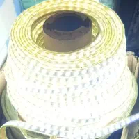 ریسه شلنگی