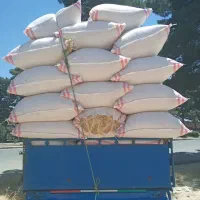 کاه