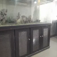 واگذاری سوپر مارکت