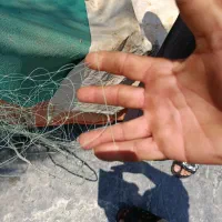 تورشعری رکاسی