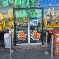 منشی خانم