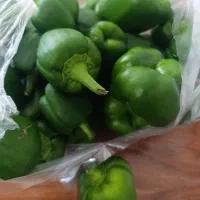دلمه ای سبز. کیلو 35
