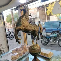 اسب برنزی پاکستان
