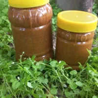 معجون تقویتی  اصلی