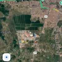 حسابدار خانم