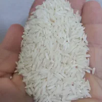 برنج هاشمی درجه یک آستانه. چای بهاره
