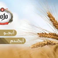 بازاریاب فروش (خانم/آقا) - برند ماالشعیر جوجو