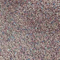 تخم یونجه یا همون اسپست