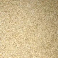 فروش ۳ تن جو