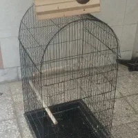 قفس عروس هلندی  با لانه