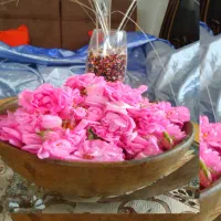 خدمات کشاورزی