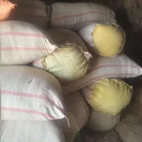 فروش کاه