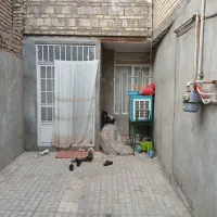 اپارتمان همکف حیاط اختصاصی شخصی ساز بلوار۲۲بهمن