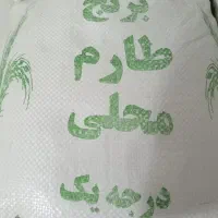 برنج کشت دوم، طارم دمسیاه، هاشمی و فجر
