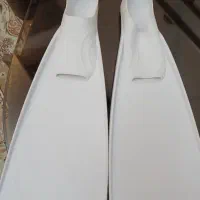 فین پایی