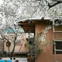 آگهی حیاط دربست