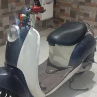 متور پاکشتی