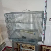 قفس چشمه ریز شریف اباد ۲ تومن