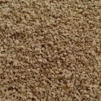 بذر گوجه دستی تمیز و تازه