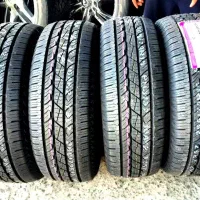 لاستیک دولتی