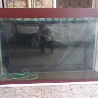اکواریوم