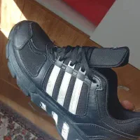 کتونی اکومنت