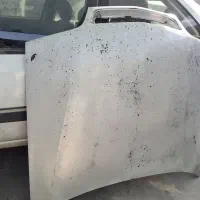 کاپوت زانتیا