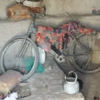 دو چرخ 26