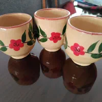 لیوان سفالی و جادستمالی پیوتر