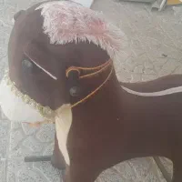 راکر اسب