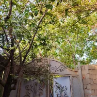 باغ زیبا ماهان