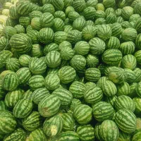 هندوانه