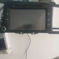 ظبط