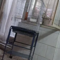 قفس پرنده