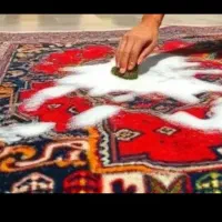قالیشویی ارسباران ارسال سرویس کل مناطق تبریزرایگان
