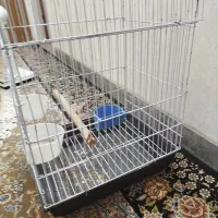 قفص پرنده نو