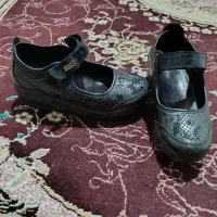طبی