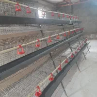 قفس مرغ تخمگذار