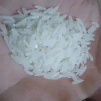 فجر محلی