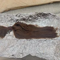 مو سالم و طبیعی